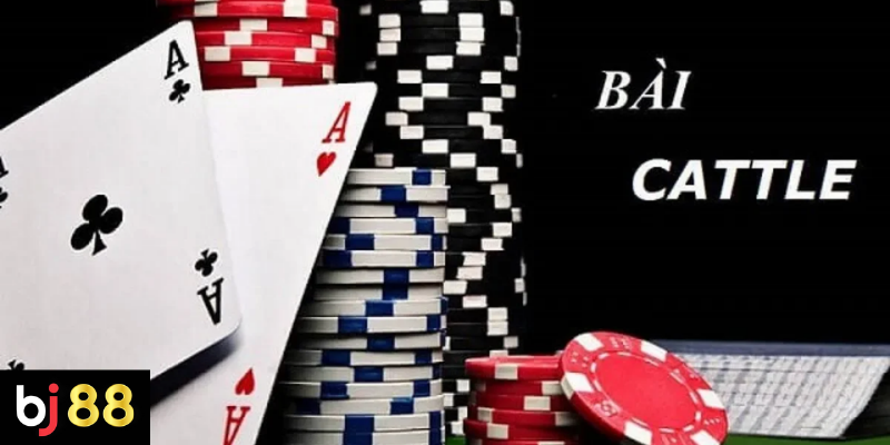 Luật Chơi Bài Catte Nâng Cao: Hướng Dẫn Cho Người Chơi 3 Phân tích bài và dự đoán nước đi của đối thủ