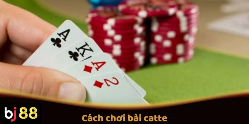 Cách Chơi Bài Catte Tại BJ88: Quy Tắc Và Mẹo Thắng 2 Cách Chơi Bài Catte Trên BJ88: Quy Tắc Và Mẹo Thắng